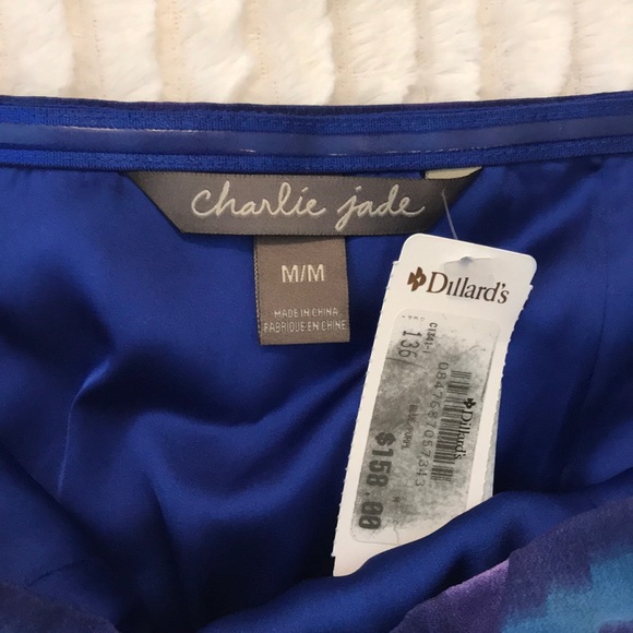 Charlie Jade strapless silk dress NWT - Picture 5 of 5